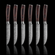 'Naki' Professional 6-Piece Steak Knife